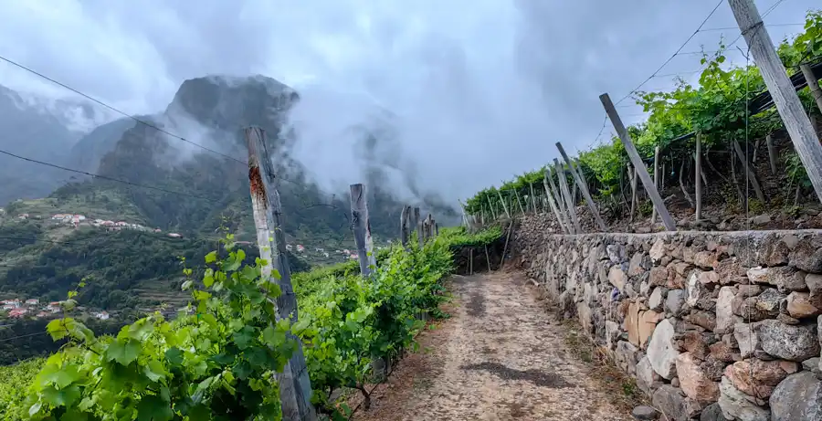 View of the Sao Vincente Valley from the Quinta Do Barbusano Vineyards