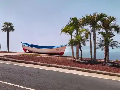 Los Gigantes social creatures