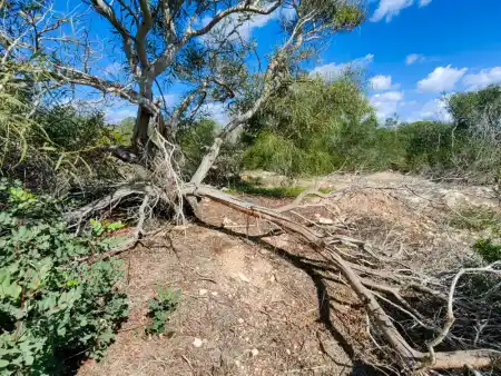 Rock Reefs of Mellieha