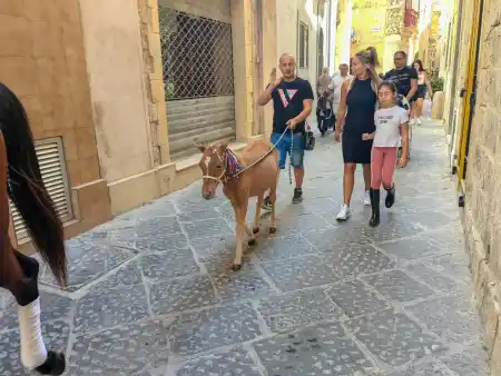 Franciscan procession