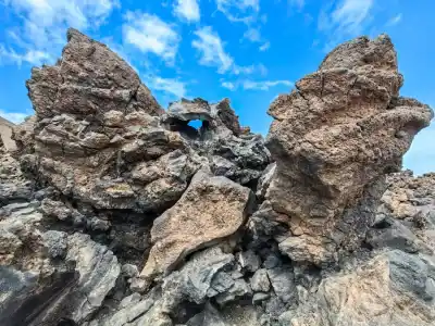 Bizarre shapes stimulate the imagination