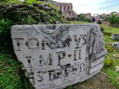 Forum Romanum, Palatine Hill in the background