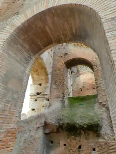 Collosseum Arcades