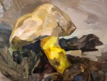 views from the upper platform of the Citadel