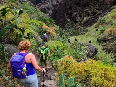 We are descending into the Barranco del Masca