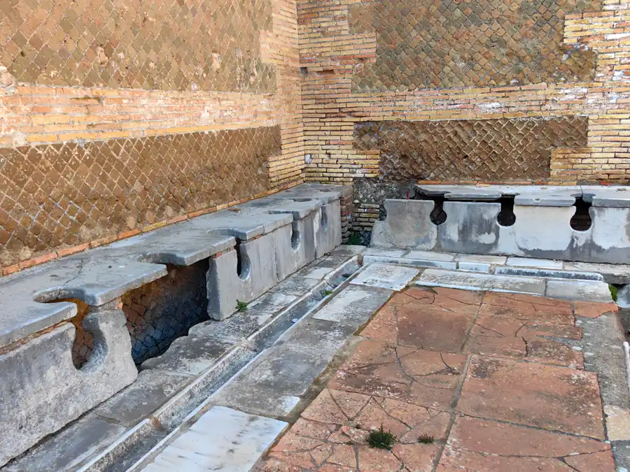 Public flush toilets had 2000 years ago