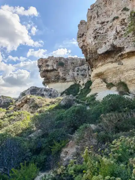 I really can't get through this