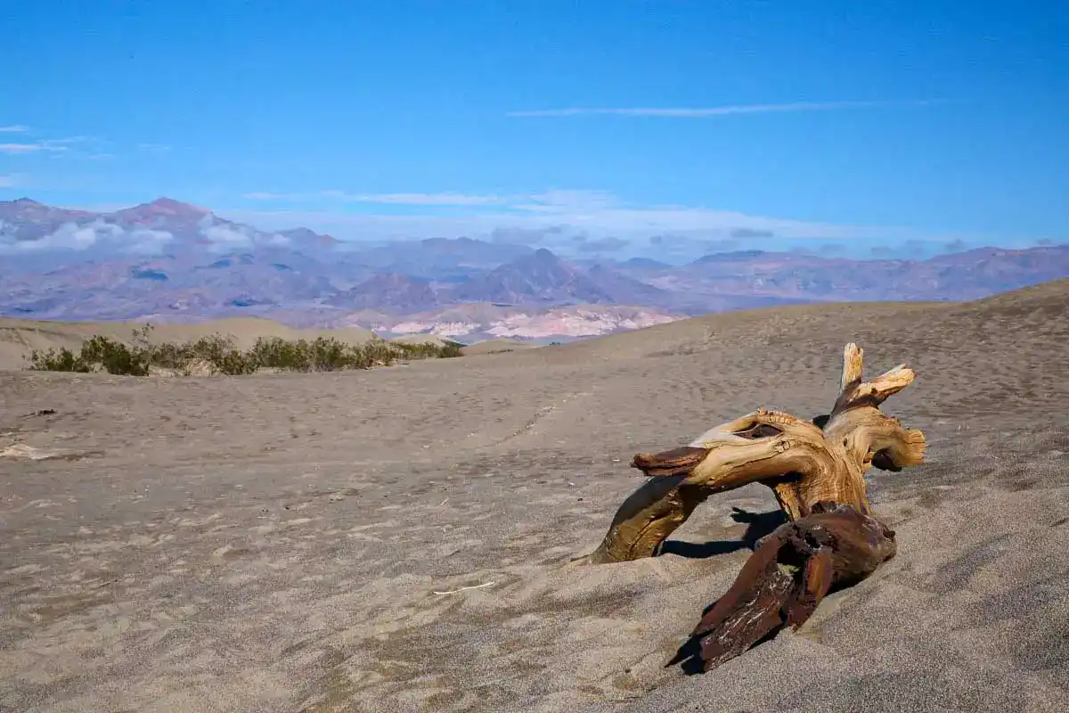 The sandy area of Death Valley