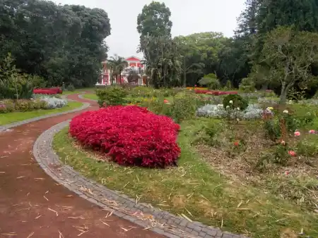 Prezidential garden