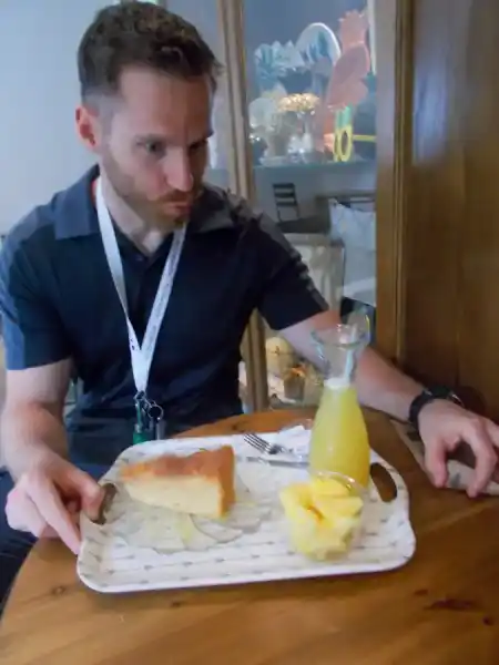 Pineapple plantation Arruda