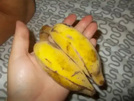 Bananas