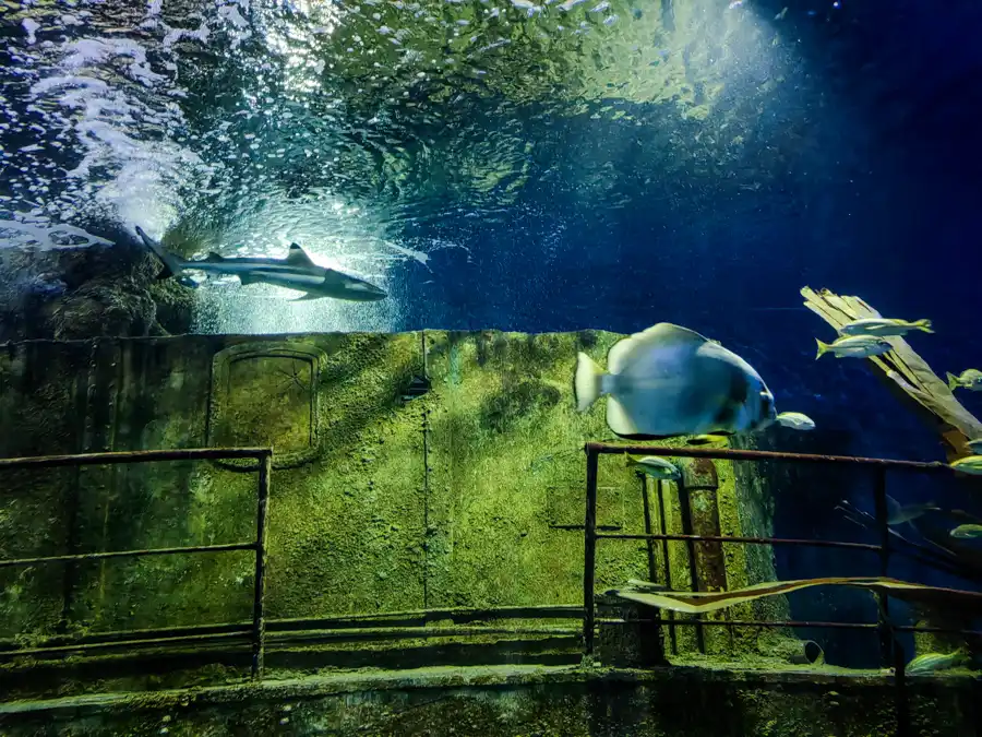 Malta Aquarium