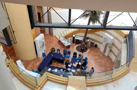 Anatomy of a Viral Landscape - Rebecca DiDomenico