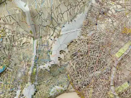 Anatomy of a Viral Landscape - Rebecca DiDomenico