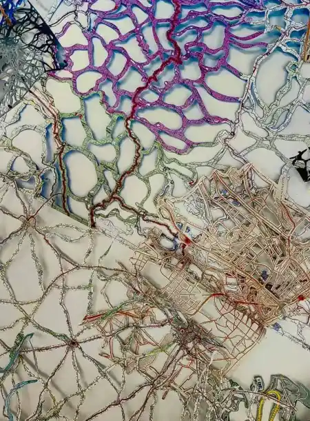 Anatomy of a Viral Landscape - Rebecca DiDomenico