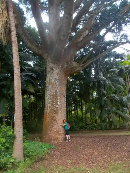 José do Canto Garden