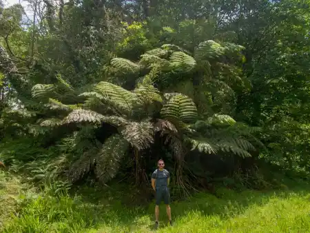 Hike around the lake