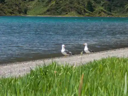 "parked" pair on a pebble beach