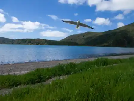 Multi-purpose fighter "seagull" on a combat mission during a raid on (us) a ground target