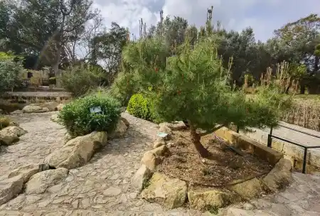 Nooks and crannies of San Anton Garden