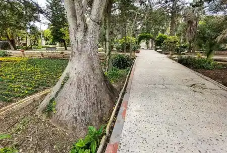 Nooks and crannies of San Anton Garden