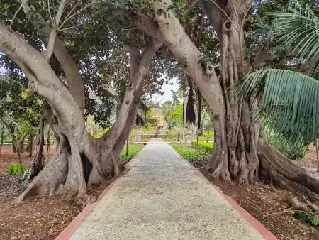 Nooks and crannies of San Anton Garden