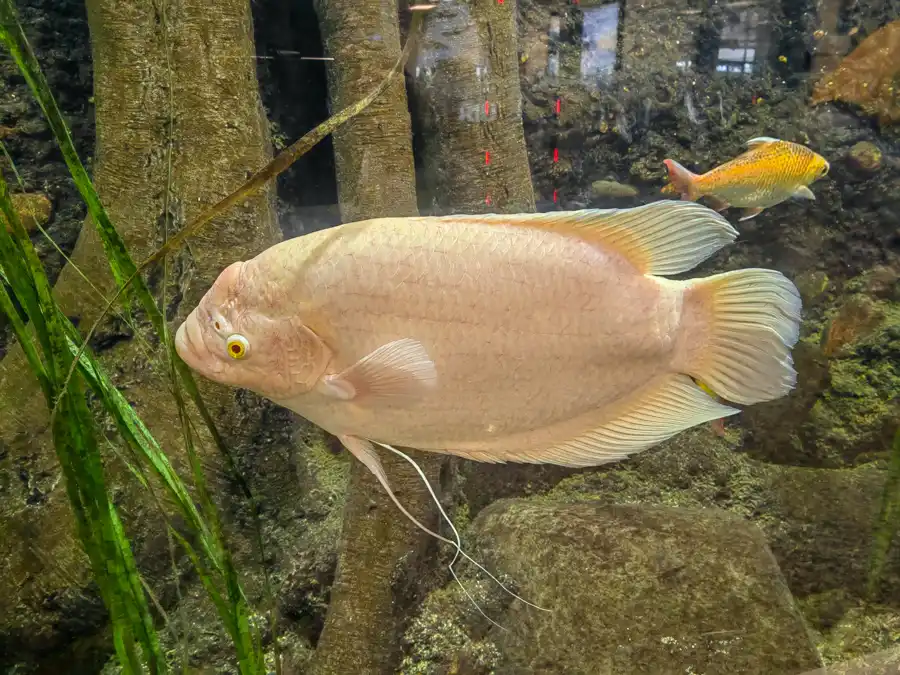 Malta National Aquarium