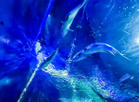 Malta National Aquarium