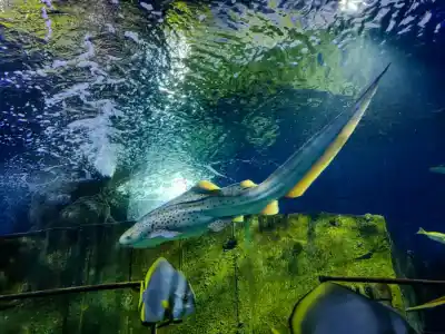 Malta National Aquarium