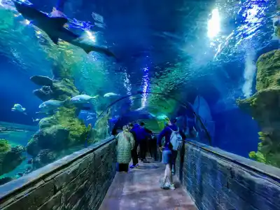 Malta National Aquarium