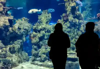 Malta National Aquarium