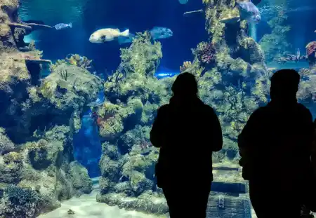 Malta National Aquarium