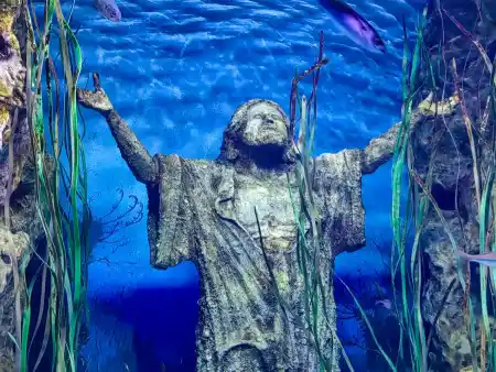 Malta National Aquarium