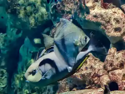 Malta National Aquarium