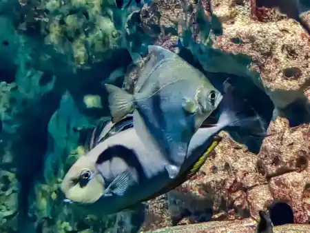 Malta National Aquarium