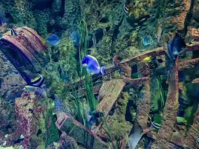 Malta National Aquarium