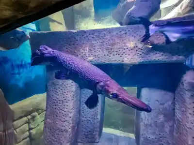 Malta National Aquarium