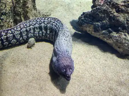 Malta National Aquarium