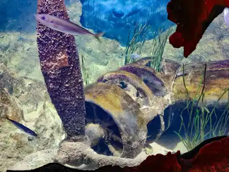 Malta National Aquarium