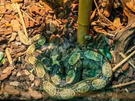 Malta National Aquarium