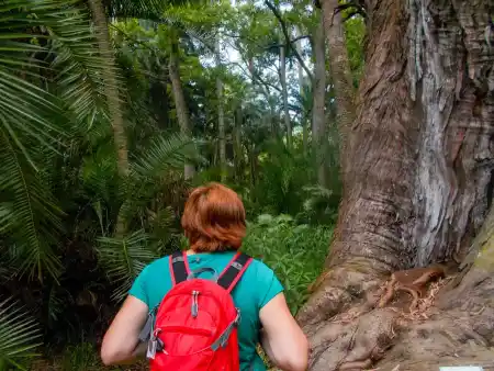 Salto do Prego trail