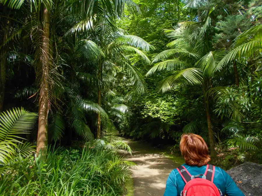 Park Terra Nostra is beatifull Botanical Garden