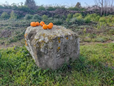 Via Appia on the bike