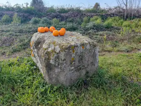 Via Appia on the bike