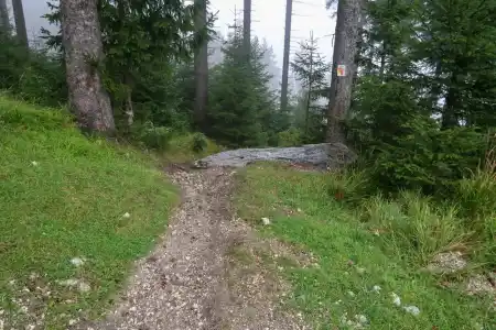 Czarna Gora cyklotrail MTB uphill