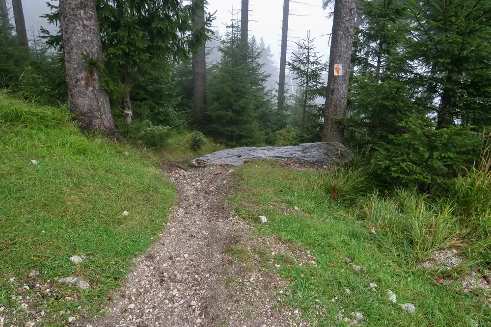 Czarna Gora cyklotrail MTB uphill