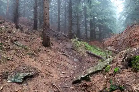 Czarna Gora DH singletrail MTB