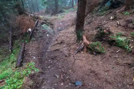 Czarna Gora DH singletrail MTB