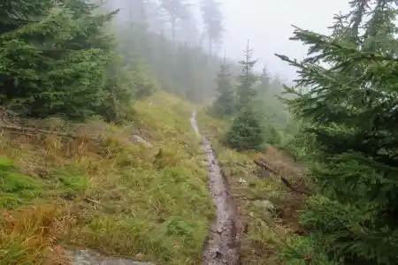 Czarna Gora singletrail