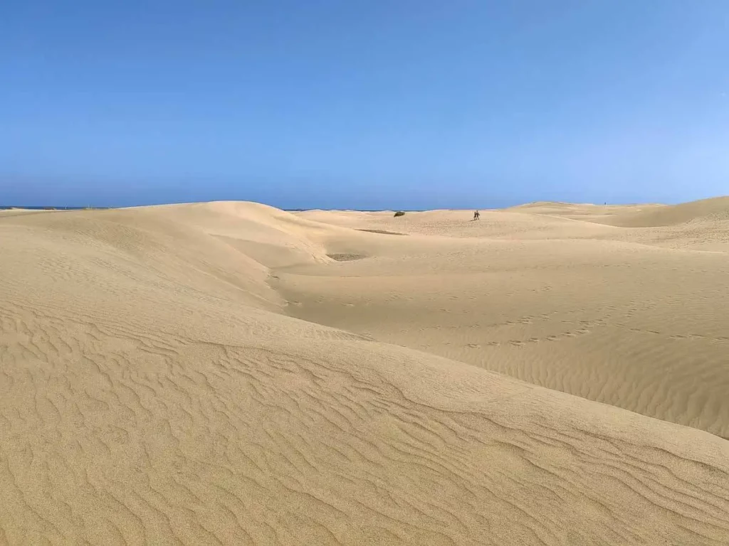 Maspalomas Dunes